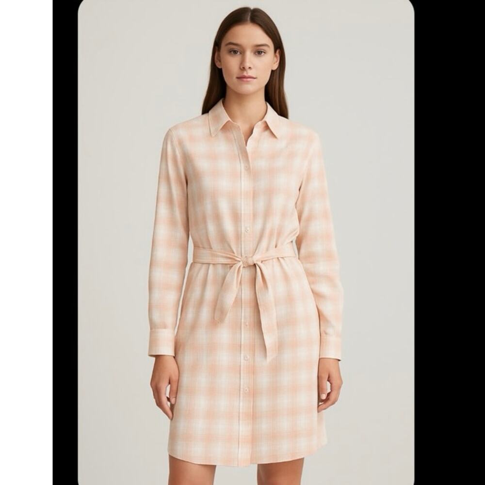 Calvin Klein Plaid Front Tie Button Down Shirt Dress Sz 4 Academia Old‎ Money